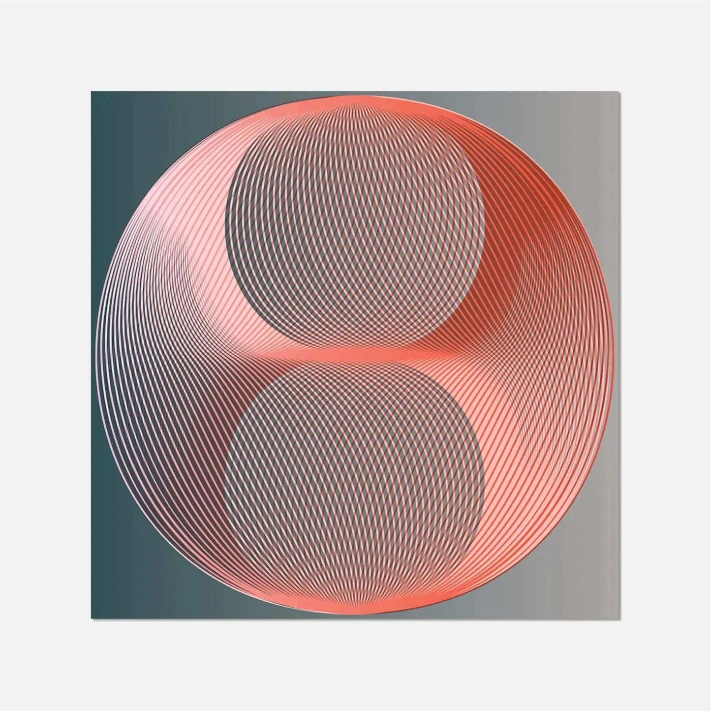 Orb Weave Art Print-Art Prints-New Visual Things