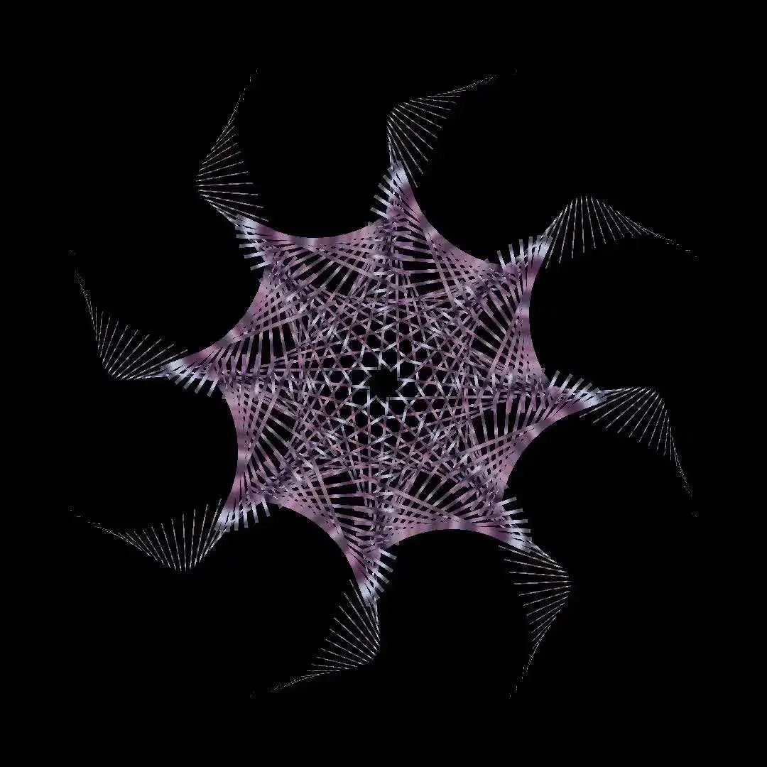 Spider Thatch-Video Art-New Visual Things