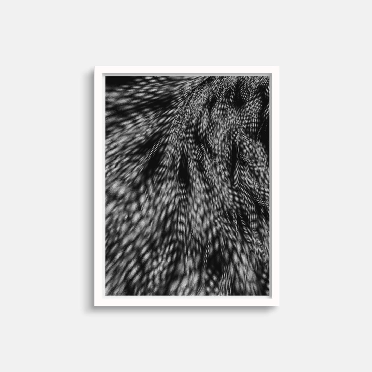 Featherlike Photo Art Print